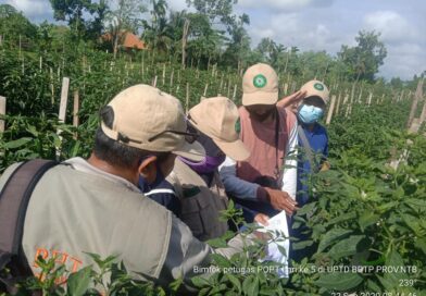 119893499_199644531756031_1830416938808781389_n