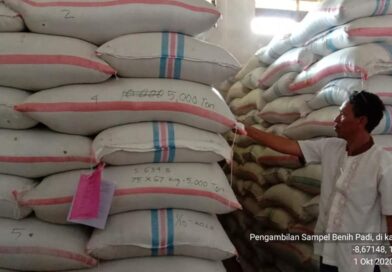 120842281_2031474636976110_6069378922054562366_n