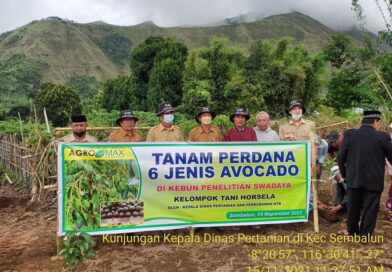 257862400_195470356094013_8517988325943353453_n