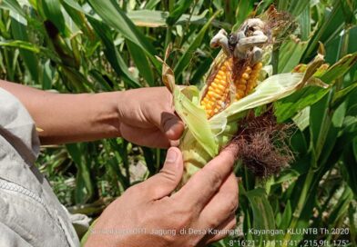 119797931_199679588419192_6432945444297121622_n