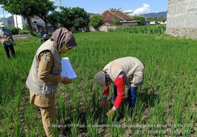 120234135_202319434821874_3118192004374156382_n