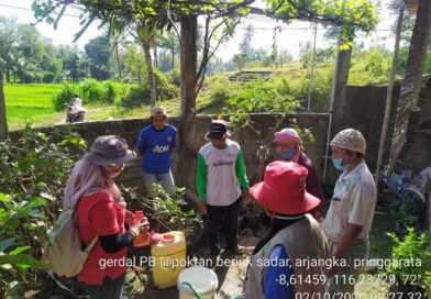 120552813_202986004755217_8728014292174703821_n