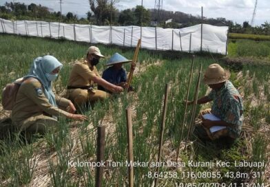 120644755_203867338000417_1991108165227409497_n