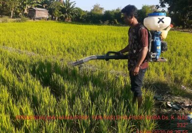 120861102_204526504601167_6885939018518937254_n