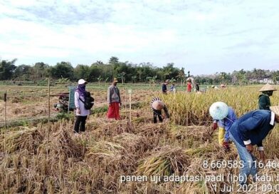 209080728_2685596248230609_2702362431225897903_n